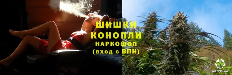 Конопля SATIVA & INDICA  OMG как войти  Егорьевск 